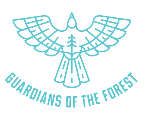 Guardians of the Forest: Indigenous Communities Leading on Climate Solutions